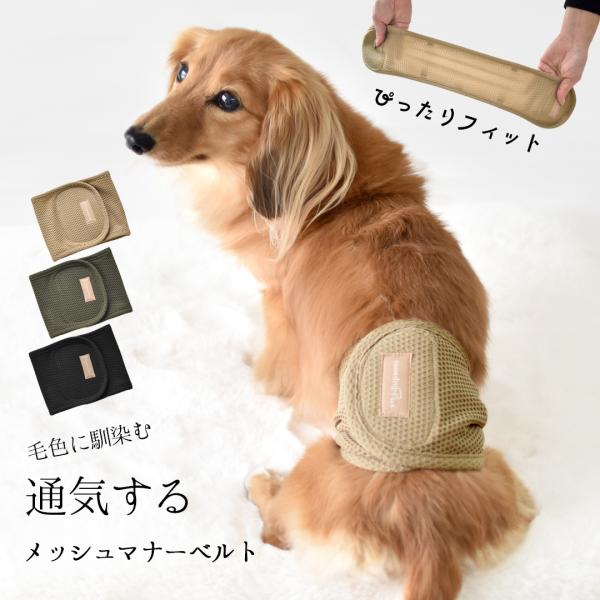 メッシュマナーベルトマナーベルト プリント名入れ マナーウェア マナーバンド マーキング防止 ストレ...