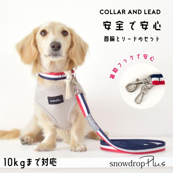 リボン 首輪 リードセット snowdrop 小型犬 犬 リード 首輪 簡単 散歩 おしゃれ かわい...