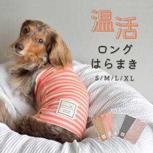 (在庫処分SALEの為返品交換不可)はらまき 腹巻 ボディーウォーマー 腸活 冷房対策 シニア パピー 犬 服 介護 ゆうパケット対応