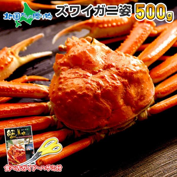 カニ ギフト ズワイガニ 姿 500g 父の日 海鮮 取り寄せ 食べ物 かに 蟹