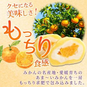 フルーツ大福 シャインマスカット大福 一房みか...の詳細画像3