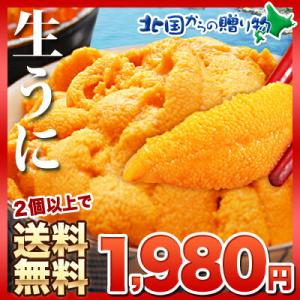 北海道産 ウニ むらかみ塩水生うに80g 訳あり　送料無料