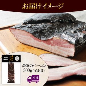 ベーコン ブロック 訳あり 300g 業務用 ...の詳細画像4