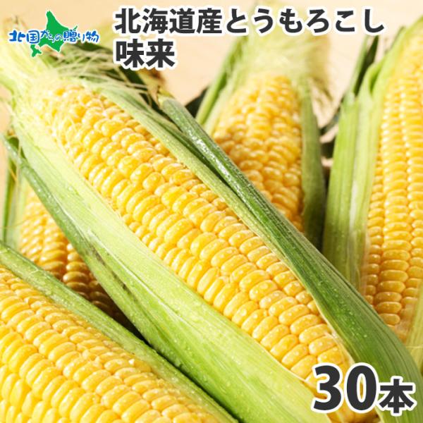 とうもろこし 北海道 30本 約13kg お取り寄せ 美味しい トウモロコシ 味来 甘い お土産 バ...