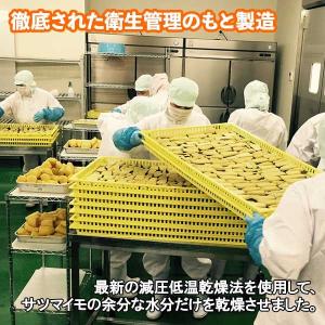 干し芋 黄金さつま 2個x100g メール便 ...の詳細画像4