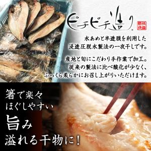 北海道 干物 ギフト セット 7点 お土産 海...の詳細画像5