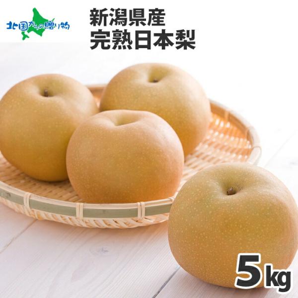 完熟 日本 なし 5kg 梨 幸水 豊水 あきづき 新高 新興 愛宕 果物 ギフト プレゼント 旬の...