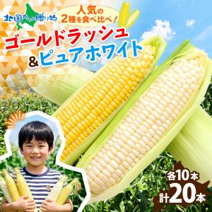 北国からの贈り物 トウモロコシ 食べ比べセット 10本 北海道産 白い
