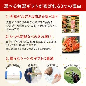 えらべる ギフト券 (サファイア) カタログギ...の詳細画像3