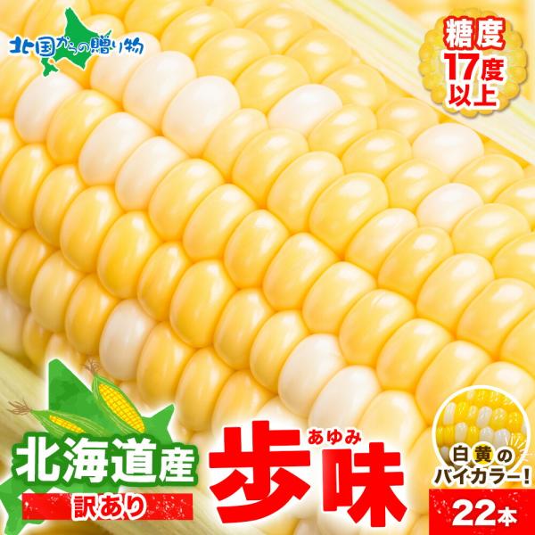 とうもろこし わけあり 歩味 22本 北海道産 訳あり トウモロコシ あゆみ バイカラー 8月中旬-...
