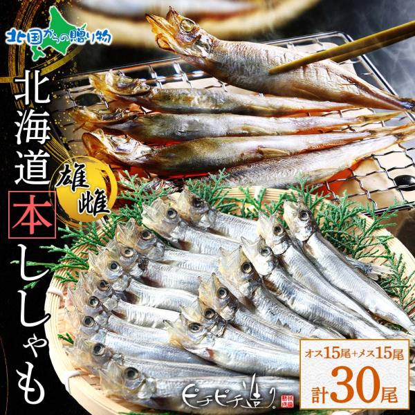 本ししゃも 北海道産 オス メス各15尾 計30尾 ギフト シシャモ 干物 セット 海鮮 お土産