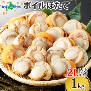 北国からの贈り物 北海道 ホタテ 貝柱 玉冷 500gx1袋 魚介類 帆立 刺身