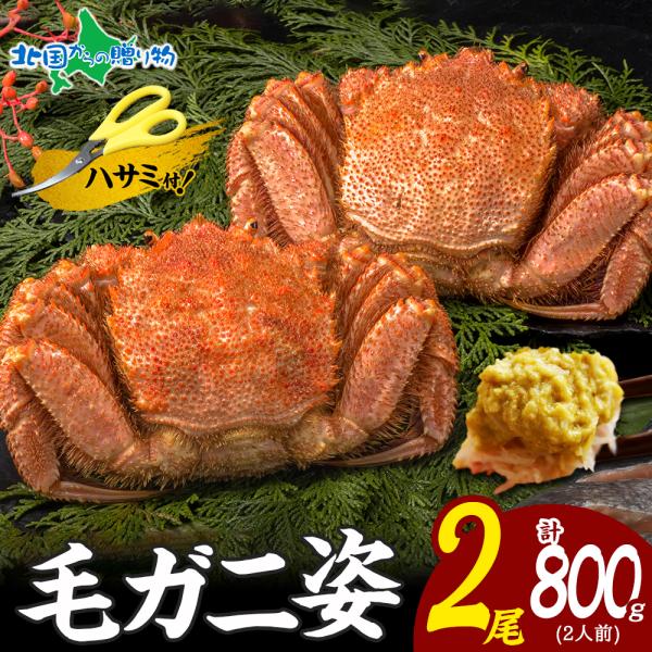 毛ガニ 2尾 計800g 毛蟹 北海道土産 かに ギフト カニ 蟹 姿 ボイル 蟹味噌 毛がに けが...
