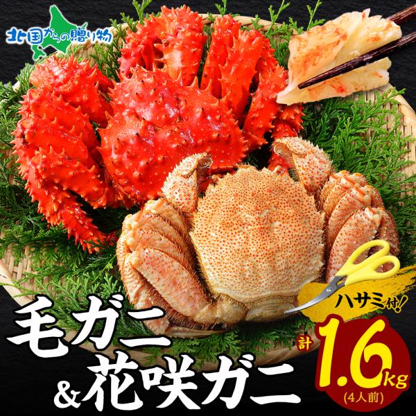 毛ガニ・花咲カニ 食べ比べセット 各800g お土産 北海道土産 毛蟹 花咲蟹 姿 かに カニ ギフ...