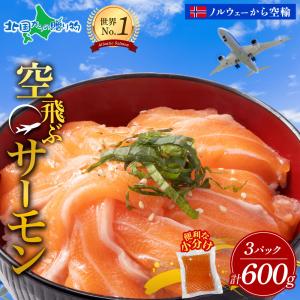 サーモン 600g お歳暮 ギフト 空飛ぶサーモン 刺身 冷凍 小分け 泉佐野市返礼品