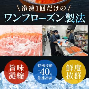 サーモン 600g ギフト 空飛ぶサーモン 刺...の詳細画像4