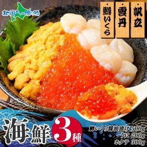 海鮮丼 3種 鱒いくら醤油漬け100gx5 チリ...の商品画像