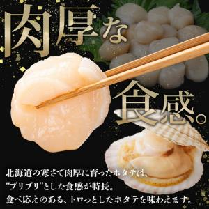 ホタテ 貝柱 北海道産 1kg(100gx10...の詳細画像1
