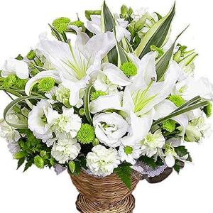 スノーホワイト花 花 ガーデニング の商品一覧 通販 Yahoo ショッピング