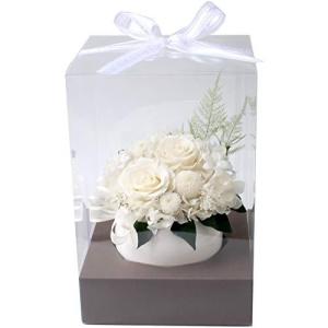 スノーホワイト花 花 ガーデニング の商品一覧 通販 Yahoo ショッピング