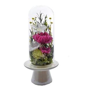 スノーホワイト花 花 ガーデニング の商品一覧 通販 Yahoo ショッピング