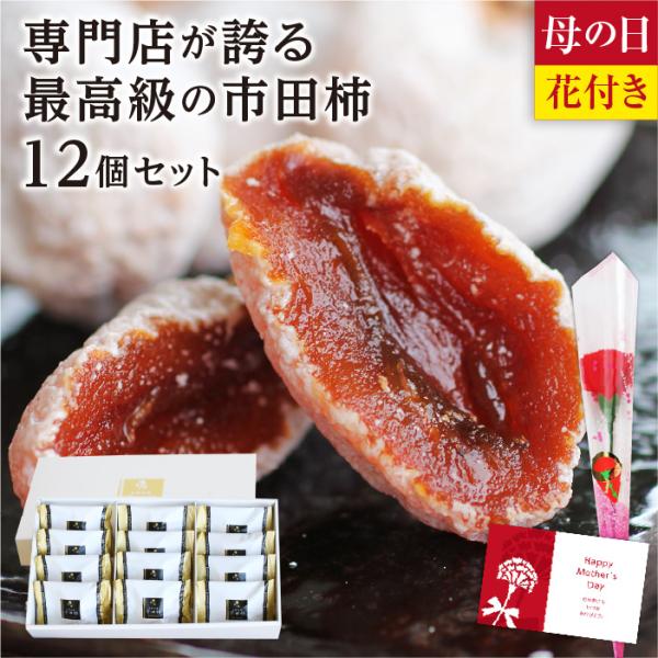 干し柿 市田柿 新物 最高級 (12個セット) 個包装 長野 特産品 贈答用 ギフト 贈り物 母の日...