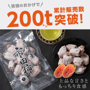 市田柿 お試しセット 市田柿300g 市田柿ミ...の詳細画像3