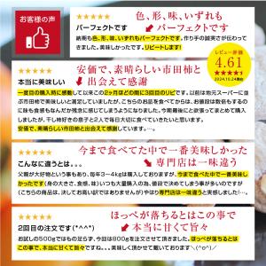 【即日出荷中】ドライフルーツ 干し柿 市田柿 ...の詳細画像3