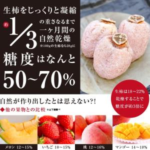 ドライフルーツ 干し柿 市田柿 300g お試...の詳細画像4