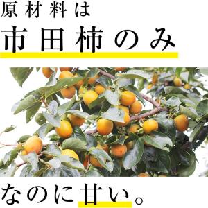 シャーベット ギフト 柿シャーベット 柿アイス...の詳細画像4