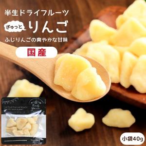 ドライフルーツ 国産 りんご ふじ 小袋 送料無料 40g リンゴ ドライりんご メール便 食品 おやつ 南信州菓子工房 ギフト ヨーグルトに ポイント利用 爆買