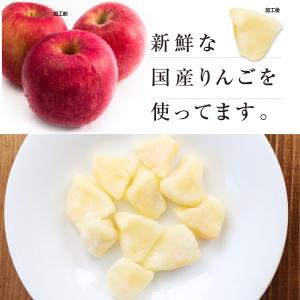 ドライフルーツ 国産 りんご ふじ 小袋 送料...の詳細画像5