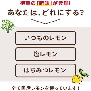 ドライフルーツ 国産 レモン 500g 送料無...の詳細画像5