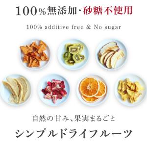 ドライフルーツ 砂糖不使用 無添加 国産 りん...の詳細画像3