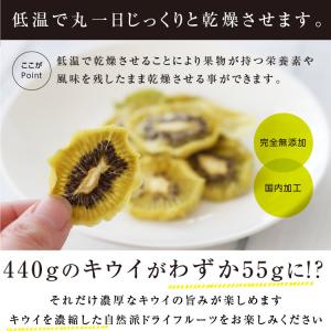 ドライフルーツ 砂糖不使用 無添加 キウイ 5...の詳細画像5