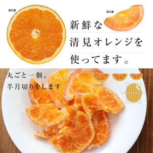 ドライフルーツ 国産 清見オレンジ 250g ...の詳細画像5