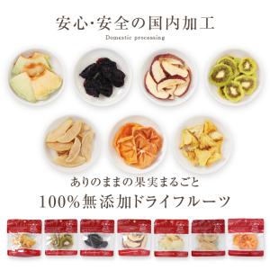 ドライフルーツ 7種セット ドライりんご ドラ...の詳細画像3