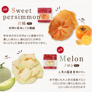 ドライフルーツ 7種セット ドライりんご ドラ...の詳細画像5