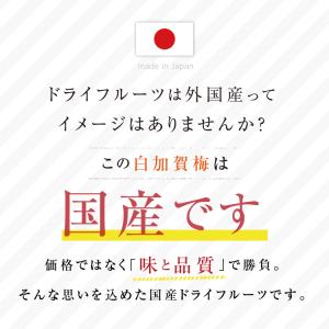 ドライフルーツ 国産 梅 大袋 90g 送料無...の詳細画像1