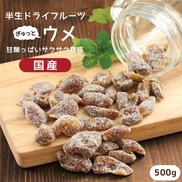 ドライフルーツ 国産 梅 500g 送料無料 うめ ウメ ドライ梅 ドライうめ 甘酸っぱい 白加賀梅...