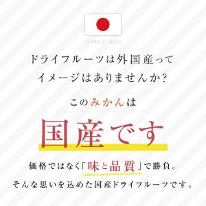 ドライフルーツ 国産 みかん 小袋 30g 送...の詳細画像1