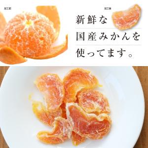 ドライフルーツ 国産 みかん 小袋 30g 送...の詳細画像5