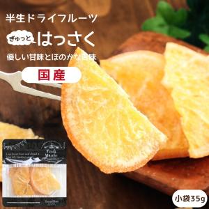 ドライフルーツ 国産 ハッサク 小袋 35g 送料無料 はっさく ドライハッサク メール便 食品 おやつ 南信州菓子工房 ギフト ヨーグルトに ポイント利用 爆買