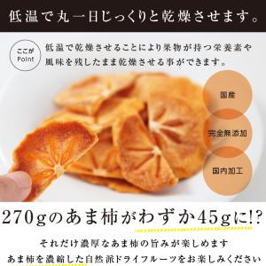 ドライフルーツ 砂糖不使用 無添加 国産 甘柿...の詳細画像5