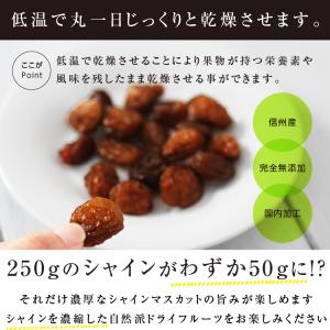 シャインマスカット ドライフルーツ 長野県産シ...の詳細画像4