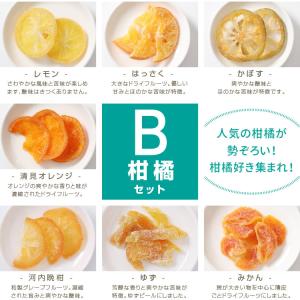 ドライフルーツミックス 国産 7種のミックス ...の詳細画像4