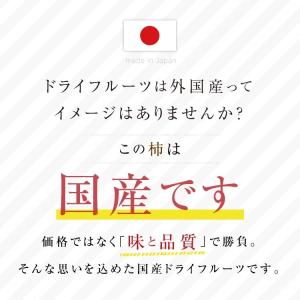 ドライフルーツ ひとくち市田柿 500g 干し...の詳細画像1