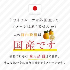 ドライフルーツ 河内晩柑 31g 和製グレープ...の詳細画像1