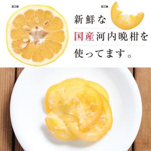ドライフルーツ 河内晩柑 31g 和製グレープ...の詳細画像5