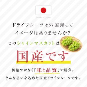 ドライフルーツ シャインマスカット 90g 国...の詳細画像2